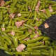 Step 9: Continue to stir and fry for one more minute until the brown sugar melts into the beans. It will smell great!