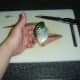 Skin side of mackerel fillet should be undamaged