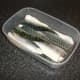 Mackerel fillets not for immediate use should be stored in a plastic container in the refrigerator