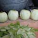 Peeled apples.