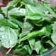 Basil leaves, 4 cups packed