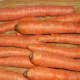 Carrots ready to be peeled and shredded.