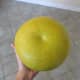 Bottom of a ripe pomelo fruit.