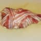 Rabbit saddle wrapped in bacon