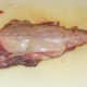 Fresh rabbit saddle