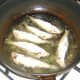 Shallow frying sprats