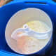 Step 4: In a large bowl, combine the whipping cream, sweetened condensed milk, vanilla extract, and peaches. Fold in cooled custard mixture then pour in ice cream maker.