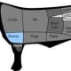This is the location of where brisket is located on the beef.