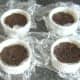 Christmas pudding is set on biscuit crumb base