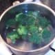Starting to simmer broccoli