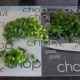Chop up spring onions and parsley and save a little for a garnish.