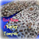 Red bean and barley tempeh has great flavor and is one of my favorites!