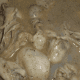 minnesota-cooking-oyster-stew