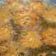 Deep-frying the cabbage fritters