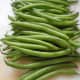 minnesota-cooking-green-beans-in-butter-with-onion-bits