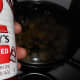 minnesota-cooking-fried-potatoes-with-sauerkraut-and-bits-of-onion-and-pepper