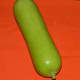 The bottle gourd prior to cutting and grating.