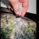 minnesota-cooking-roasted-chicken-in-a-bag-with-celery-and-chives