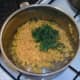 Chopped coriander is added to turmeric rice