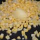 Step three: Saute sweet corn kernels in butter.