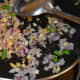 Step six: Add chopped onions. Saute till they become transparent. Add salt. Mix well.