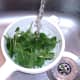 Washing salad leaves