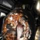 french-roasted-chicken-in-a-cherry-madeira-sauce-recipe