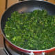 how-to-make-green-coriander-chutney-powder-dry-chutney