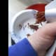 Squeeze the date through the holes in the garlic press.