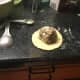 uzbek-steamed-lamb-dumpling-recipe
