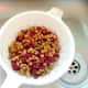 Beans are drained and rinsed