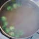 Sprouts added to simmering stock and potatoes