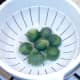Drained sprouts are left to cool