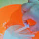 Step 2: Coat chips in wet mixture