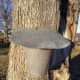 A lid helps keep rain water and debris out of the sap.