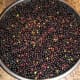 Elderberries