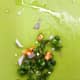 Thinly sliced bird's eye chilies. Add more if you like it spicy.