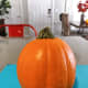 Bright orange small-sized pumpkin. This type of pumpkin would be suitable for making a pumpkin pie, as well. 