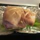 Place the roast on top of the celery and add water to the pan