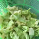1/2 head cabbage, cut into medium squares