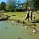 People having fun feeding the ducks
