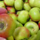 Tiny Lady apple