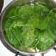 Baby spinach leaves are wilted in boiling salted water.