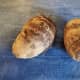 Taro root