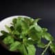 Thai basil
