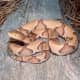 An adult copperhead -- keep your distance!