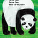Panda Bear, Panda Bear What Do You See? by Eric Carle