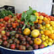 Biodynamic tomatoes