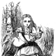 alices-animals-lewis-carroll-use-of-animals
