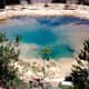 Algae colored pool in Yellowstone